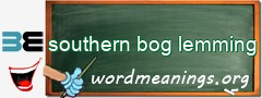 WordMeaning blackboard for southern bog lemming